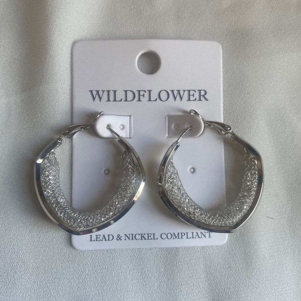 Silver tone earrings with capsule crystal